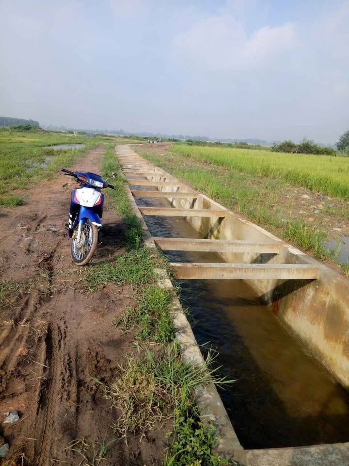 Đất lúa An Nhơn Tây Củ Chi 6500m² giá 4 tỷ - Đầu tư sinh lời ngay!