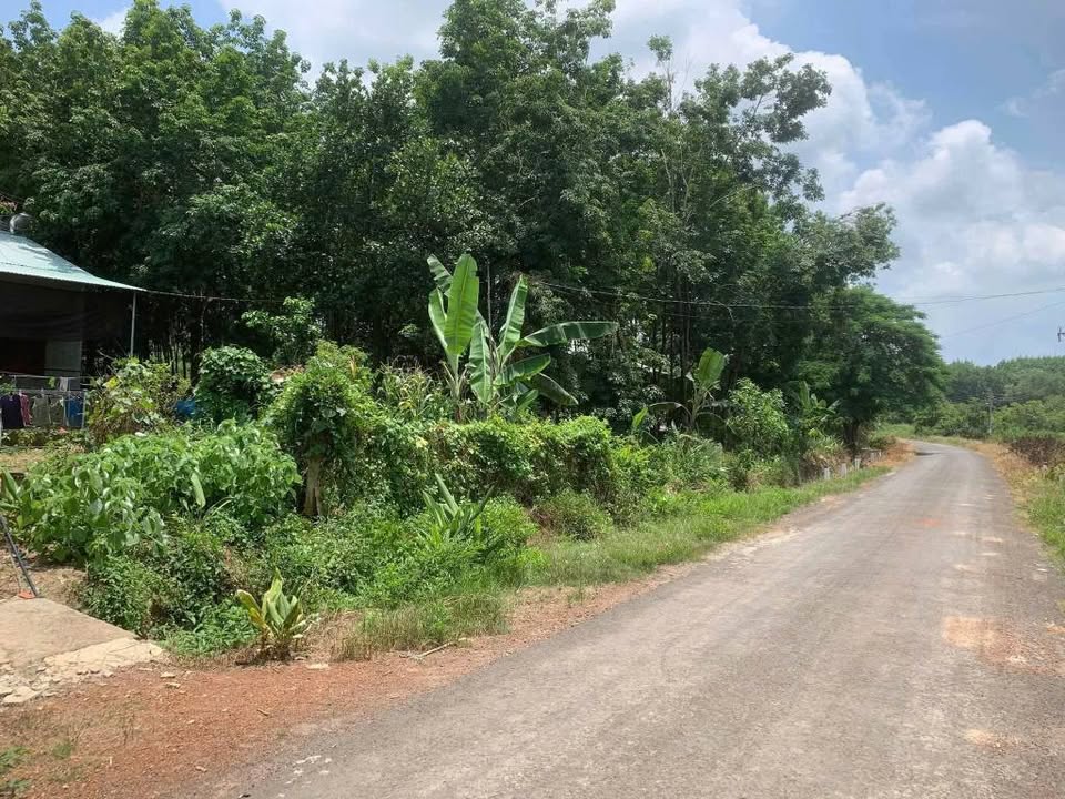 Đất thổ cư 500m² tại Đồng Tiến, Bình Phước giá chỉ 600 triệu - Đầu tư sinh lời ngay!