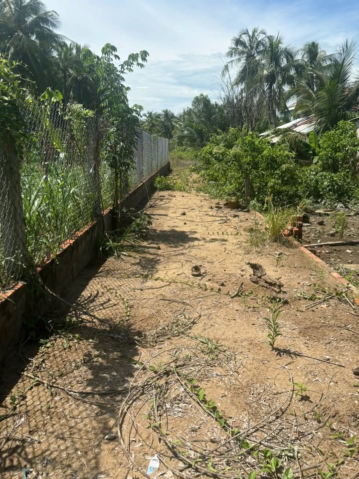 Đất nền Đa Phước Hội, Mỏ Cày Nam 874m² giá 1.5 tỷ - Cơ hội đầu tư tuyệt vời!