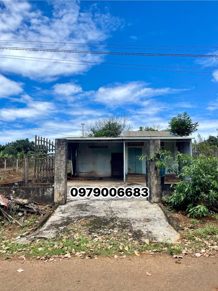 Nhà riêng phường Ia Tô, Ia Grai 2050m² - Sổ hồng chính chủ, thổ cư 100%!