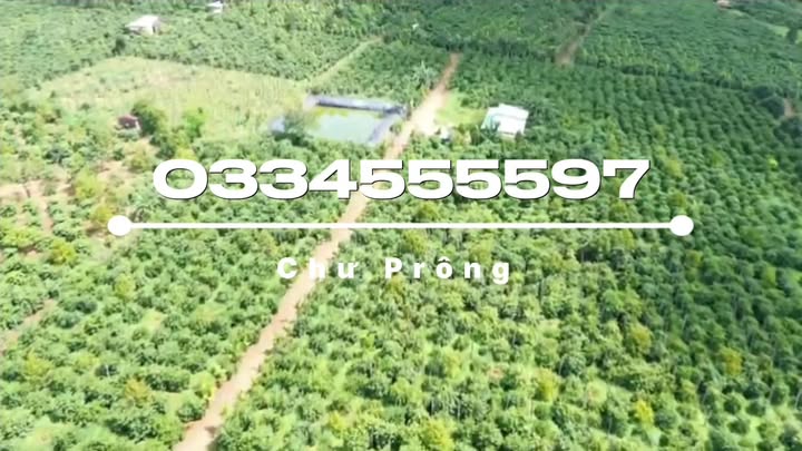 Đất Farm 4.4Ha Bầu Cạn Chư Prông giá 11.5 tỷ - Kinh doanh cà phê sinh lời
