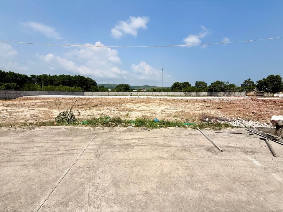 Đất nền Hải Yên Móng Cái 100m² giá chỉ vài trăm triệu - Cơ hội đầu tư sinh lời!