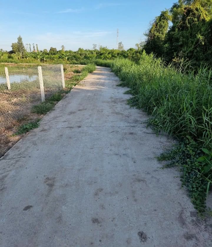 Đất nền Mỹ Trà, Cao Lãnh 80m² giá 280 triệu - Cơ hội đầu tư hấp dẫn!