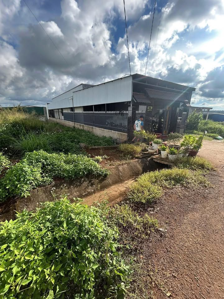 Đất thổ cư 340m² tại Đường Lê Quý Đôn, Buôn Hồ - Sổ đỏ chính chủ, giá 4.8 tỷ!