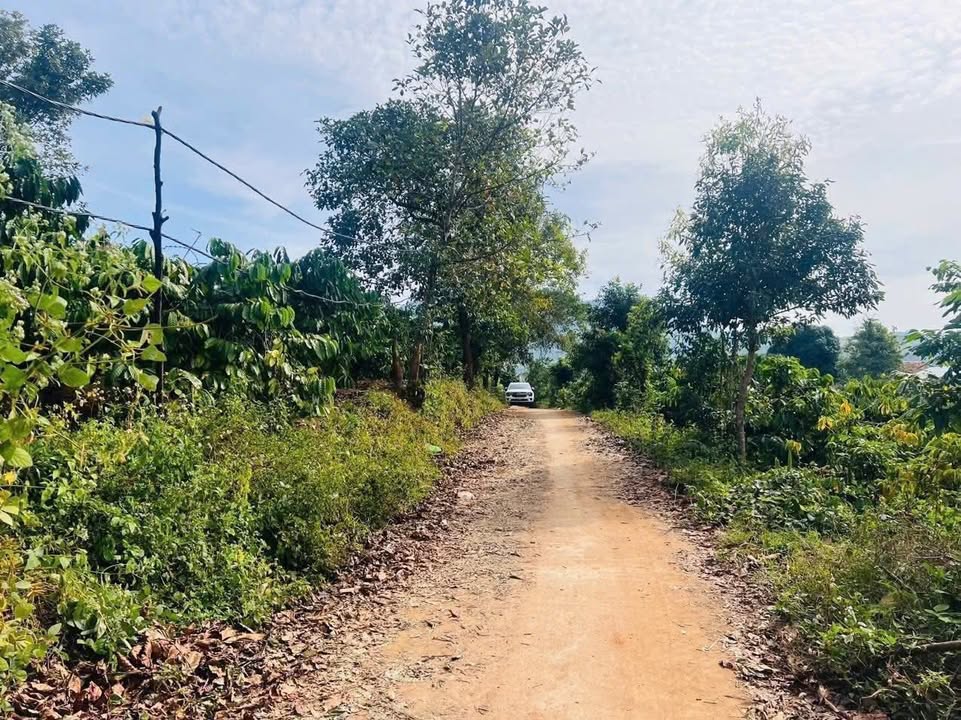 Đất nông nghiệp Đăk Ui 32,400m² giá 1.3 tỷ - Cơ hội đầu tư tuyệt vời!