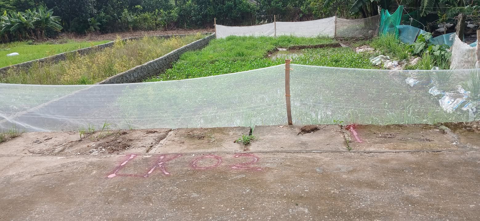 Đất đấu giá tại Vạn Tín, Mỹ Đức, Hà Nội 90m² - Cơ hội đầu tư sinh lời tuyệt vời!