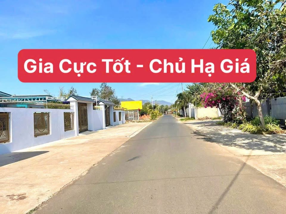 Đất nền đường số 22, xã Hoà Long, Bà Rịa 366m² - Giá hạ cực sốc chỉ 1.99 tỷ!