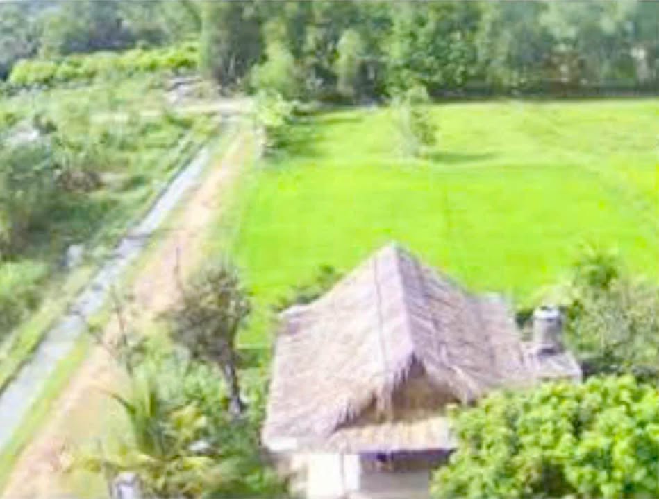 Nhà vườn An Nhơn Tây Củ Chi 2300m² giá 3.2 tỷ - Không gian sống lý tưởng!