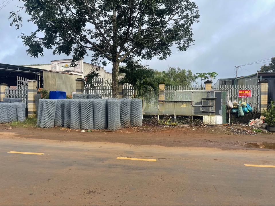 Đất mặt tiền đường lớn tại xã Nam N'Jang, Đắk Song 1.8ha - Cơ hội đầu tư sinh lời