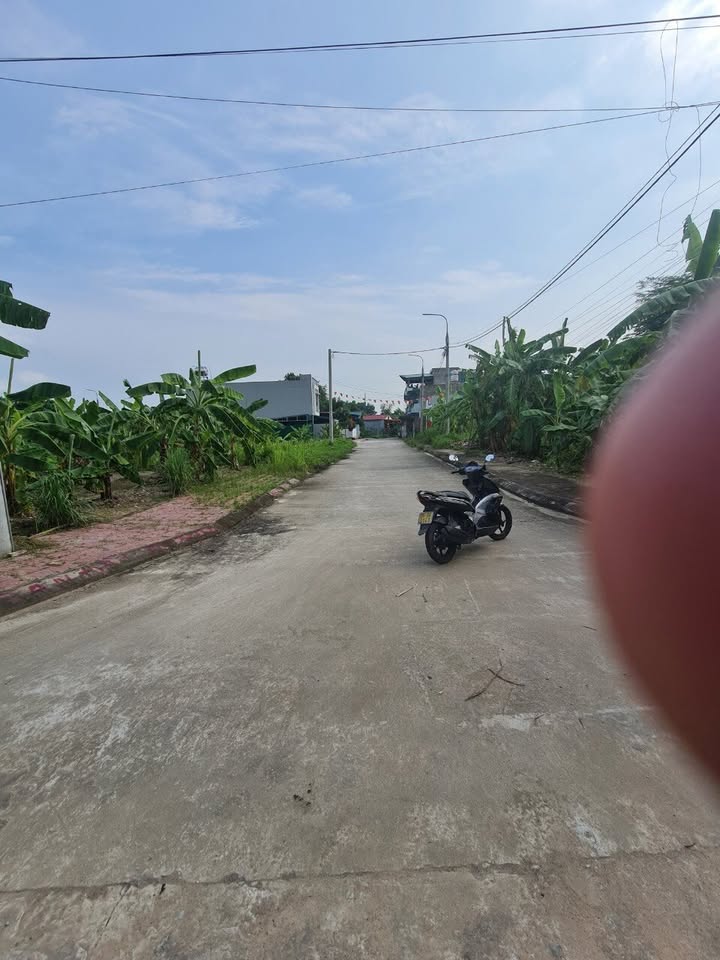 Đất nền Thanh Sơn Uông Bí 100m² giá 800 triệu - Cơ hội đầu tư hấp dẫn!