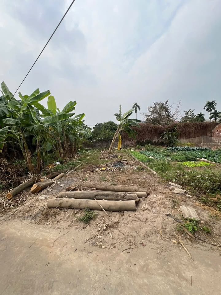 Đất Trạch Mỹ Lộc 80m² giá 2.32 tỷ - Sổ đỏ chính chủ, tiện ích đầy đủ!