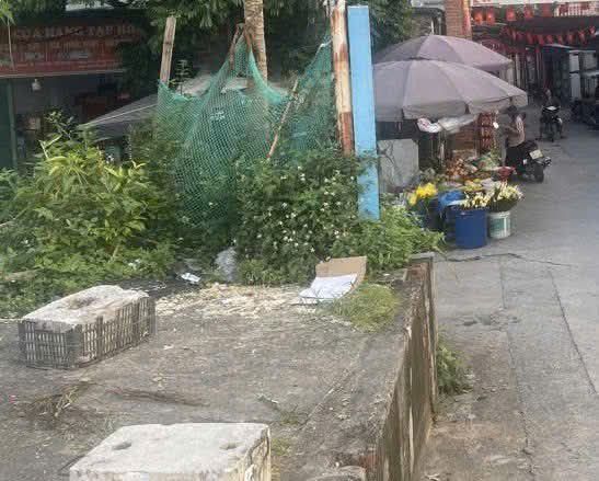 Đất Đông Hội, Đông Anh 36m² giá 3 tỷ - Đất vuông đẹp chính chủ