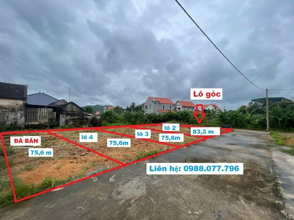 Đất nền Việt Hưng Long Biên 79m² giá chỉ 750 triệu - Bán nhanh trong tuần!
