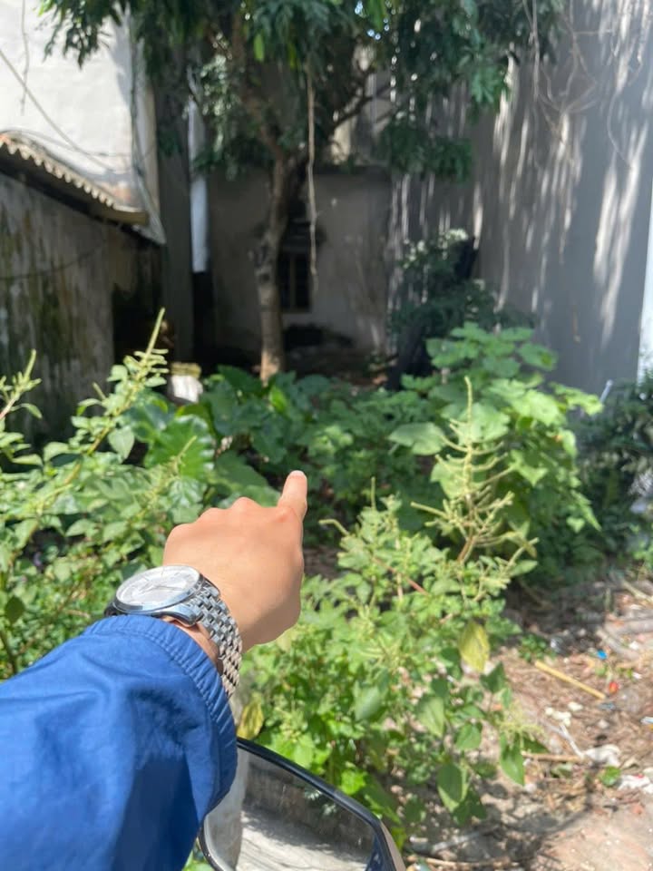 Bán đất xã Đại Áng, huyện Thanh Trì, Hà Nội 56.3m² - Sổ đỏ đẹp, ô tô cách 100m!