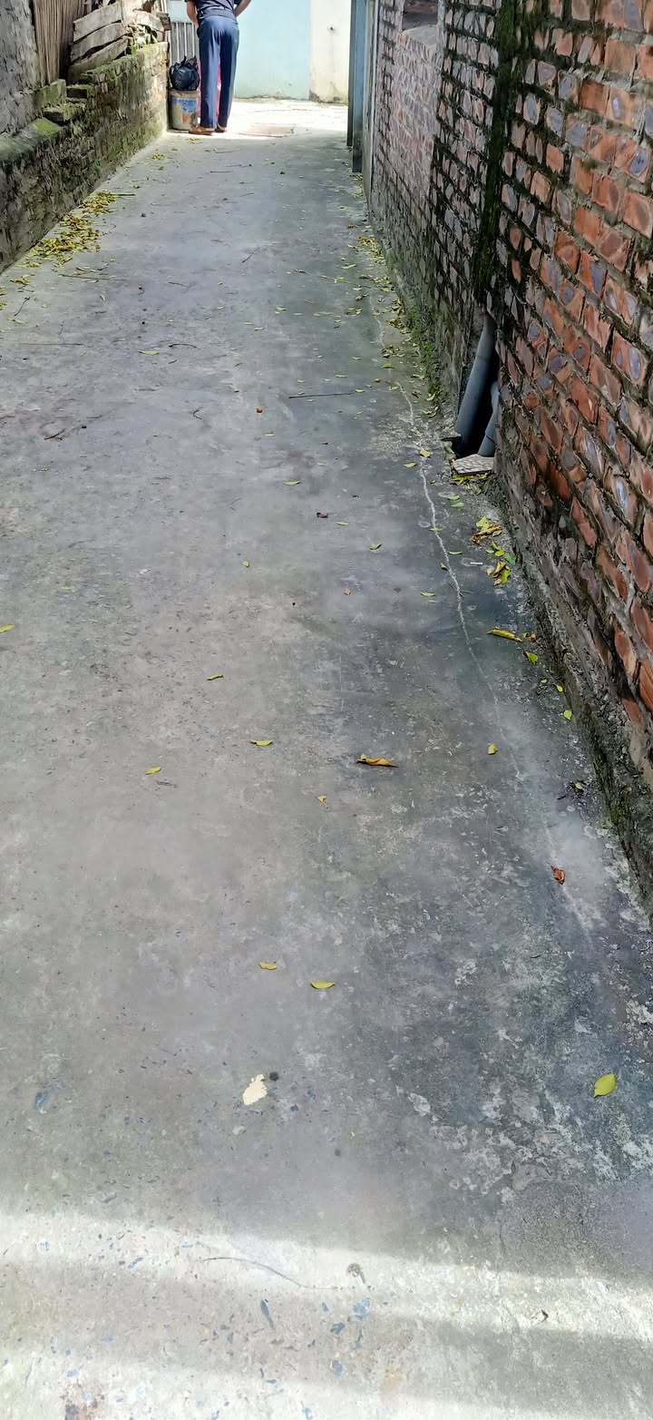 Đất nền Việt Hưng 66m² giá 7.4 tỷ - Gần trường, chợ, thương lượng tốt!