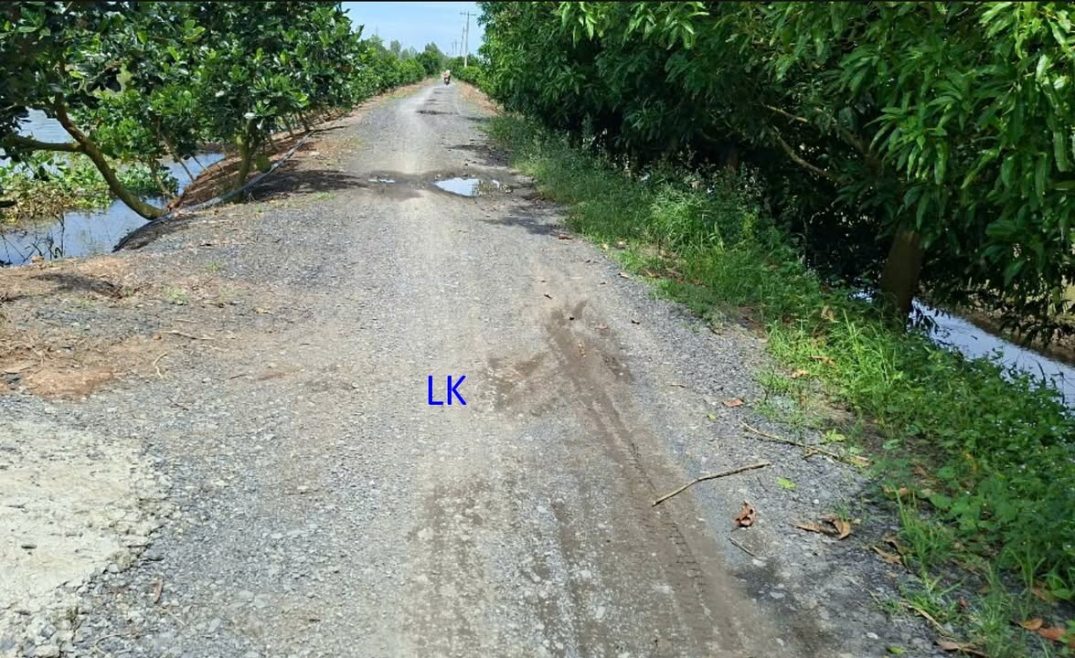 Đất lúa 24.000m² tại xã Hưng Thạnh, Đồng Tháp - Giá chỉ 5.04 tỷ!