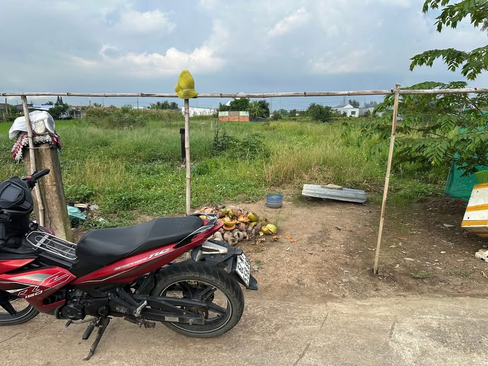 Đất thổ cư 870m² tại Thạnh Đức, Bến Lức chỉ 2.2 tỷ - Xây nhà vườn lý tưởng!