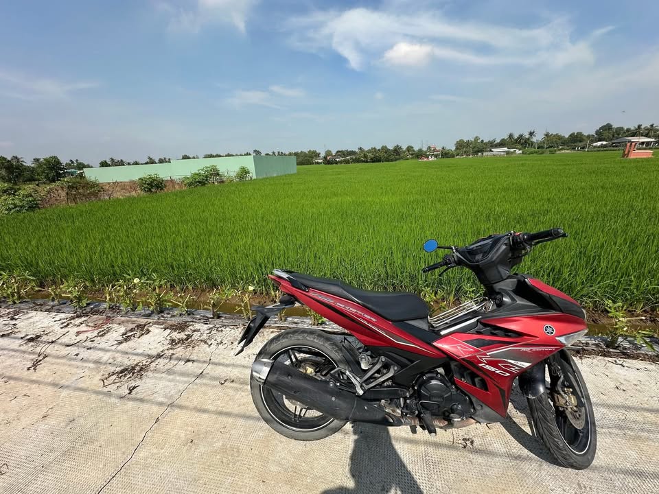 Đất nền Bình Tịnh, Tân Trụ 190m² giá 350 triệu - Sổ đỏ chính chủ, xe hơi vào tận nơi!