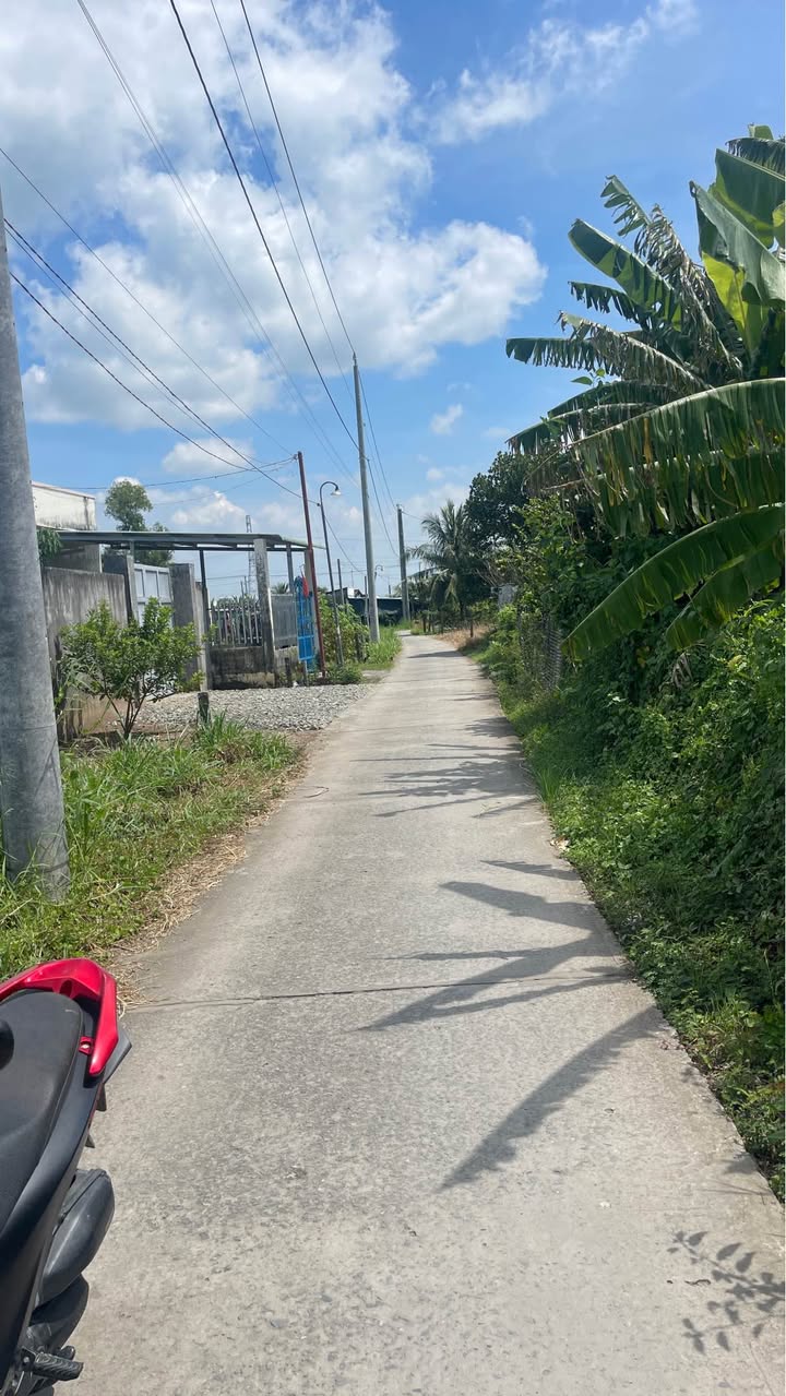 Đất thổ cư Đường Trần Thị Bông, Tân Trụ 127.7m² - Đầu tư sinh lời tốt!