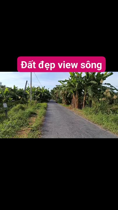 Đất nền Tân Kiều Tháp Mười 3 công giá thỏa thuận - Nguồn thu nhập ổn định!