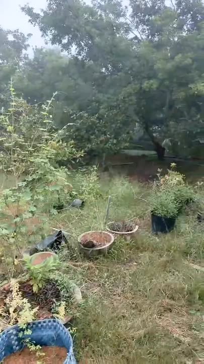 Đất mặt tiền Tỉnh lộ 864, xã Tam Bình, 8900m² giá 45 tỷ - Cơ hội đầu tư hấp dẫn!