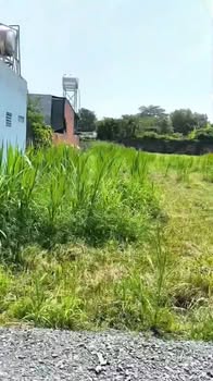 Đất thổ cư hẻm 218, xã Tân Thông Hội, 135m² - Đầu tư sinh lời ngay!