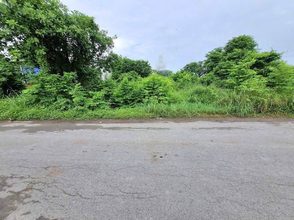 Đất mặt tiền Đường 460, xã Trung An, 125m² giá 2.35 tỷ - Đầu tư sinh lời ngay!