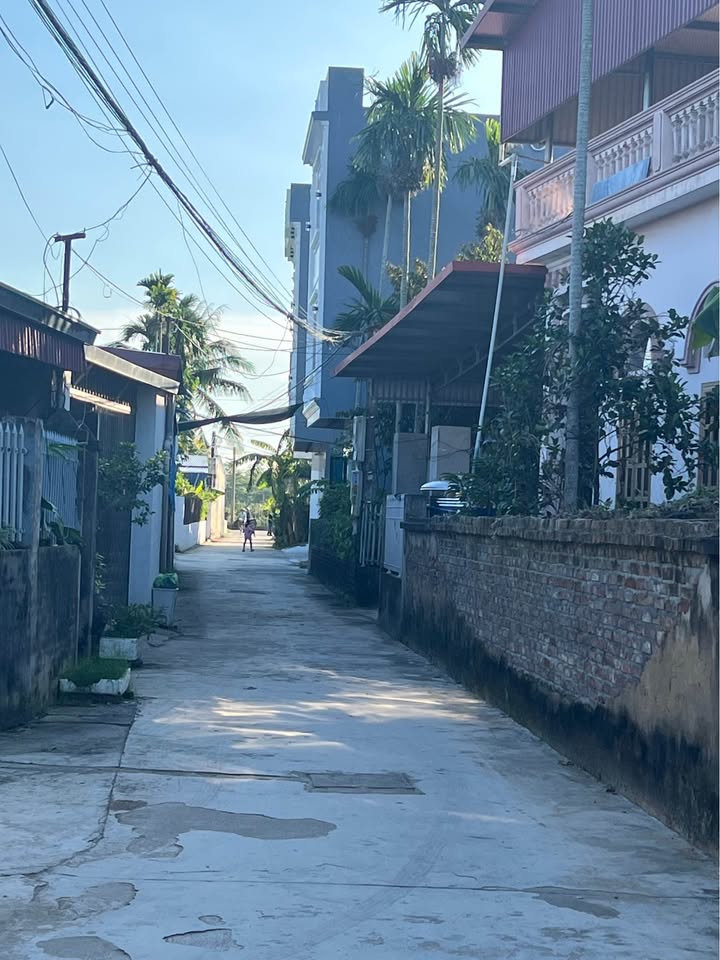 Đất nền Hồng Thái, An Dương 52m² giá 800 triệu - Cơ hội đầu tư tuyệt vời!