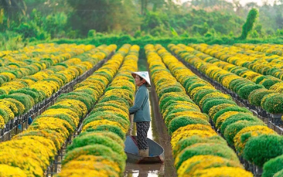 Khu đất 58154m² Quốc Lộ 54, Lai Vung - Giá 140 tỷ - Đầu tư sinh lời ngay!