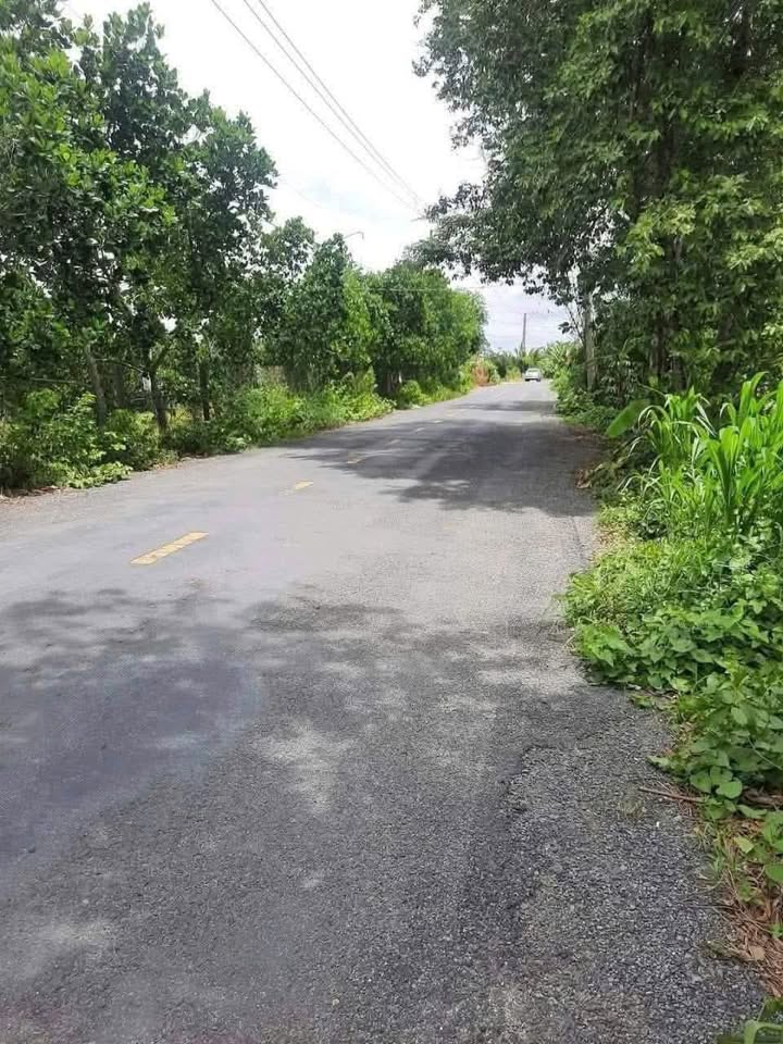 Đất mặt tiền tỉnh lộ 864, Cái Bè, Tiền Giang - Diện tích 16.000m² giá 2.5 tỷ - Đầu tư sinh lời dễ dàng!