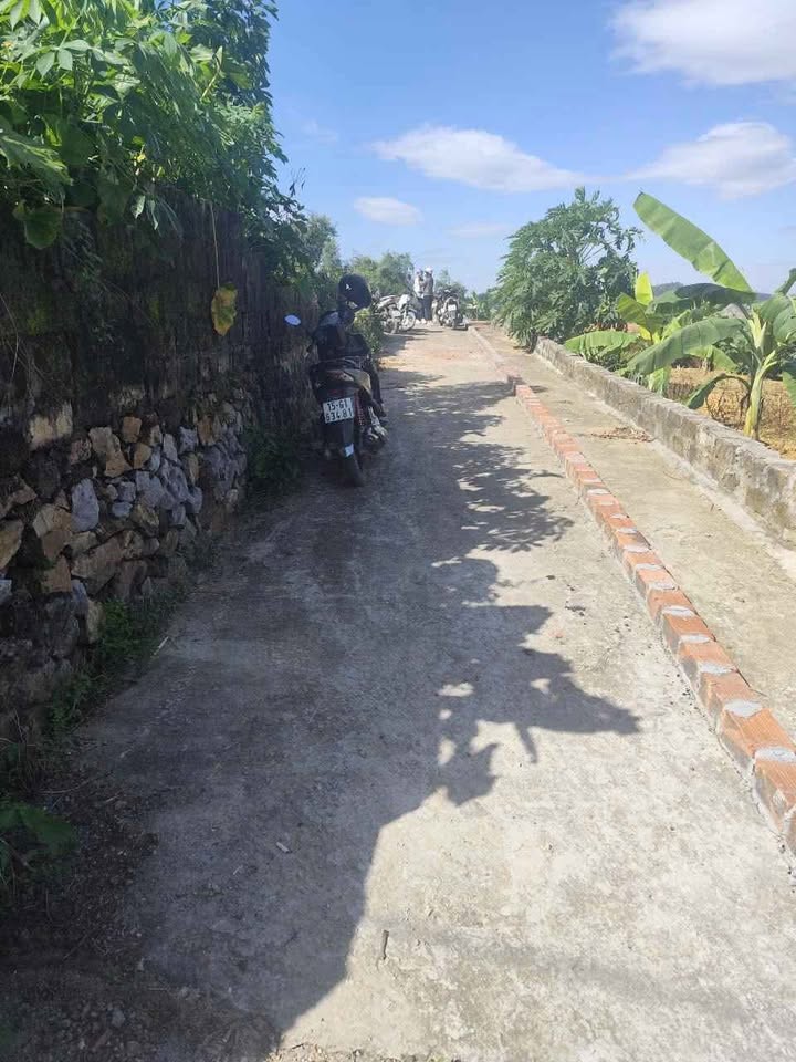 Đất thổ cư Lưu Kiếm, Thủy Nguyên 776m² giá 2 tỷ - Vị trí đẹp, đầu tư sinh lời!