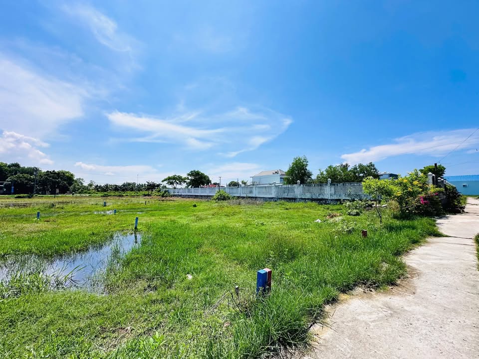 Đất nền phường Bình Tân - La Gi 115m² giá chỉ 800 triệu - Đầu tư sinh lợi ngay!