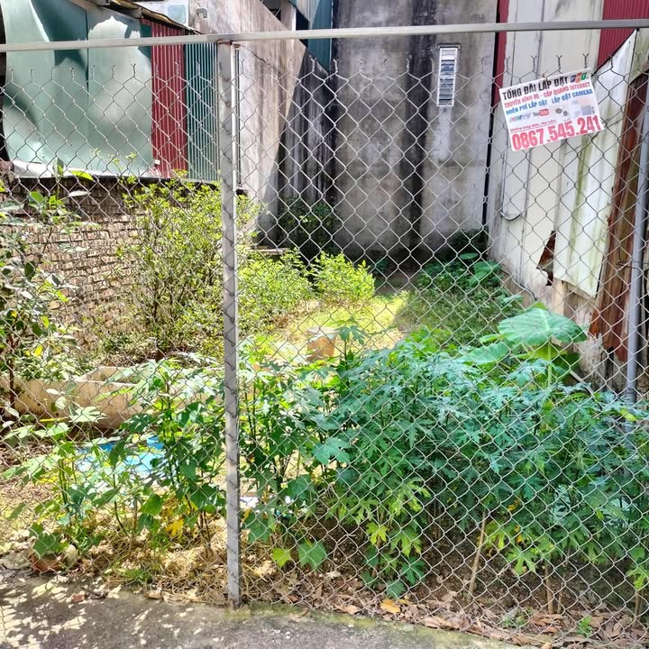 Đất nền đường Thanh Am, Long Biên 70m² giá thỏa thuận - Tiềm năng tăng giá cao!