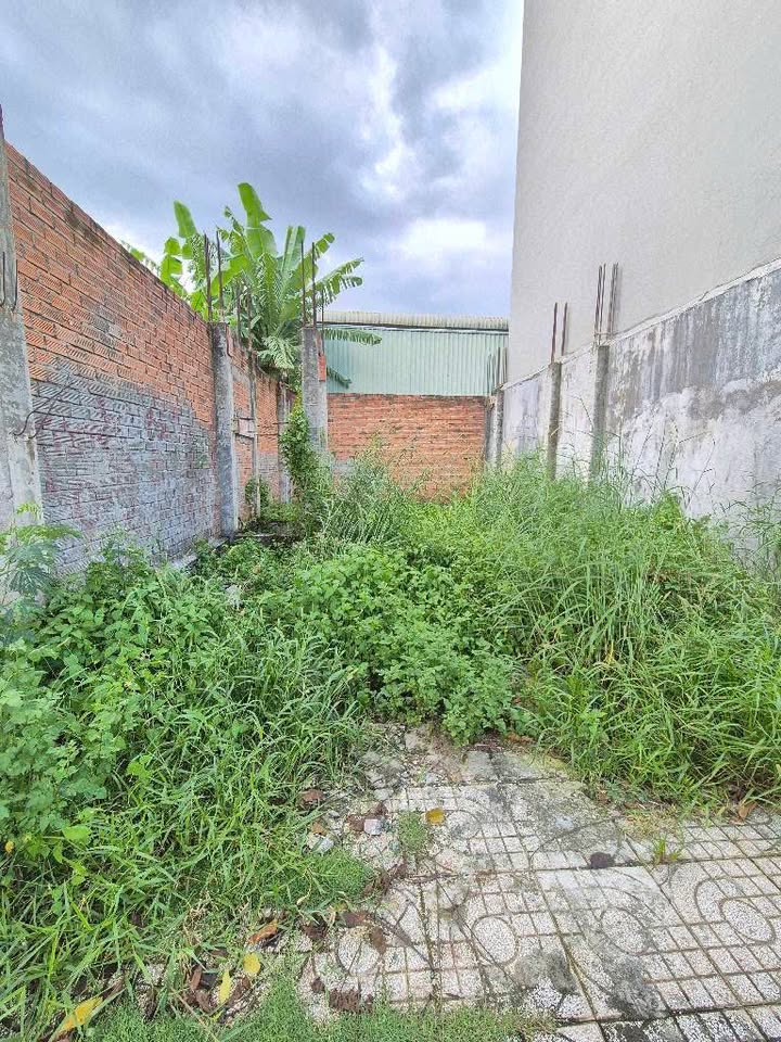 Đất Thổ Cư An Phú Đông Q12 51m² giá 3.3 tỷ - Cơ hội đầu tư tuyệt vời!