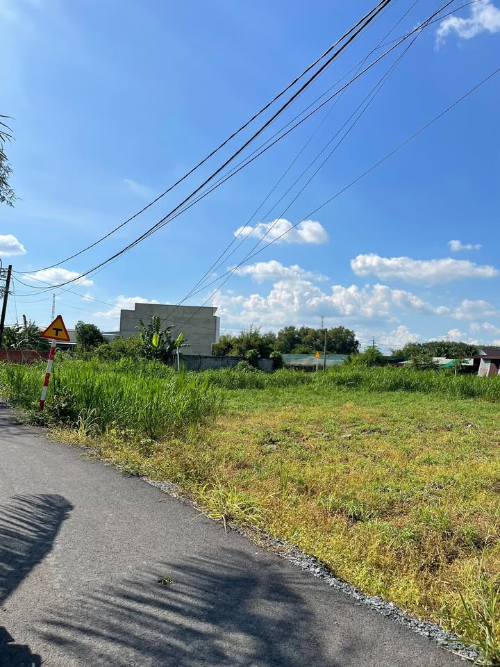 Đất nền Tân Thạnh Đông 1000m² giá 1.8 tỷ - Sổ hồng riêng chính chủ!