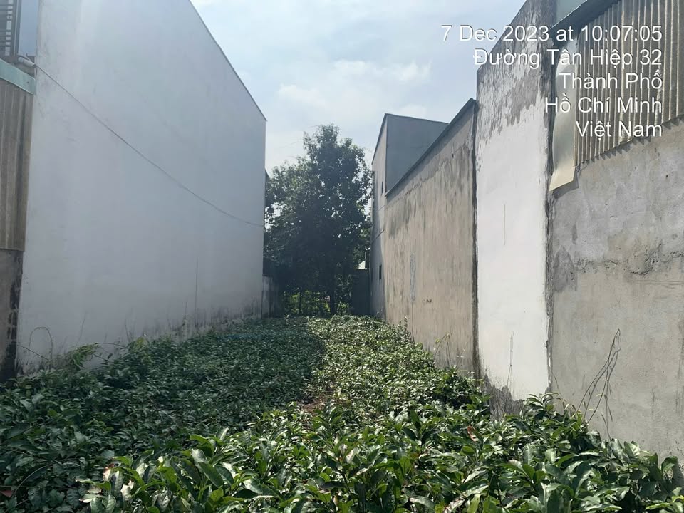 Đất Tân Hiệp Hóc Môn 145m² giá 4.35 tỷ - Mặt tiền đường nhựa 7m