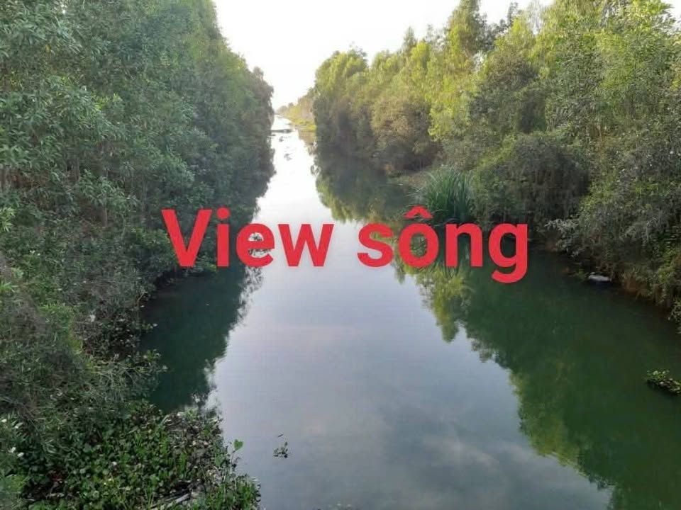 Đất nền Thạnh Lợi, Bến Lức 1000m² giá 830 triệu - Đầu tư sinh lời!