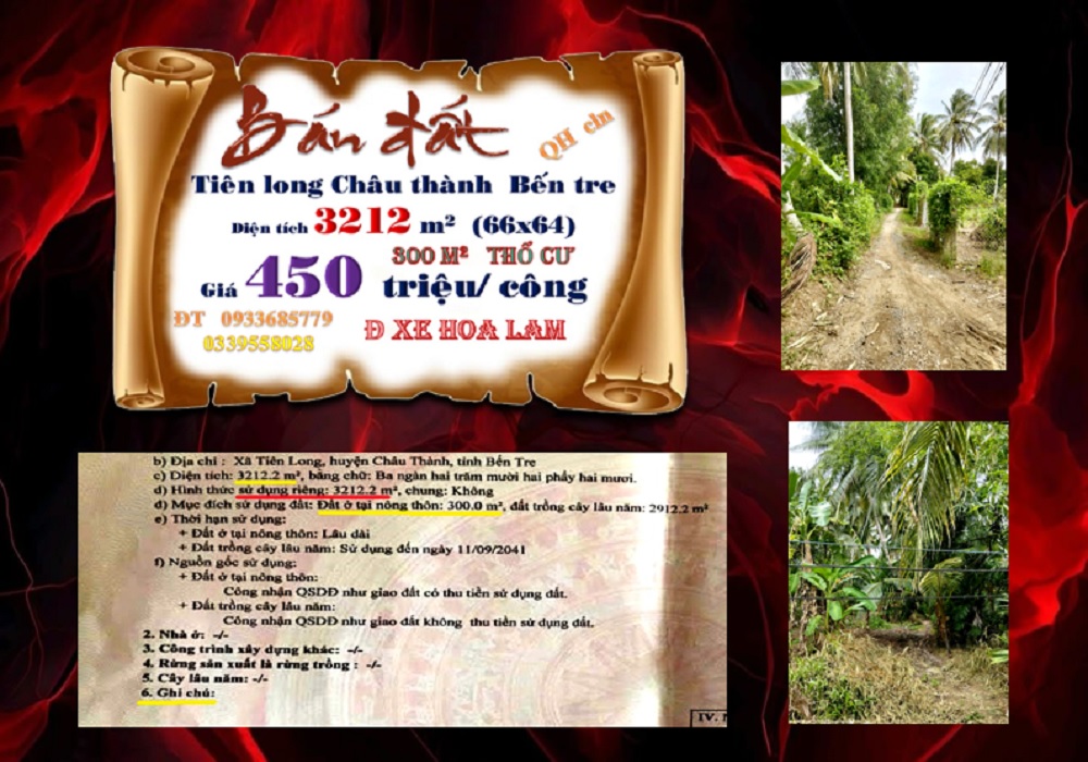 Đất Tiên Long, Châu Thành, Bến Tre 3212m² giá 1.445 tỷ - Đầu tư sinh lời ngay!