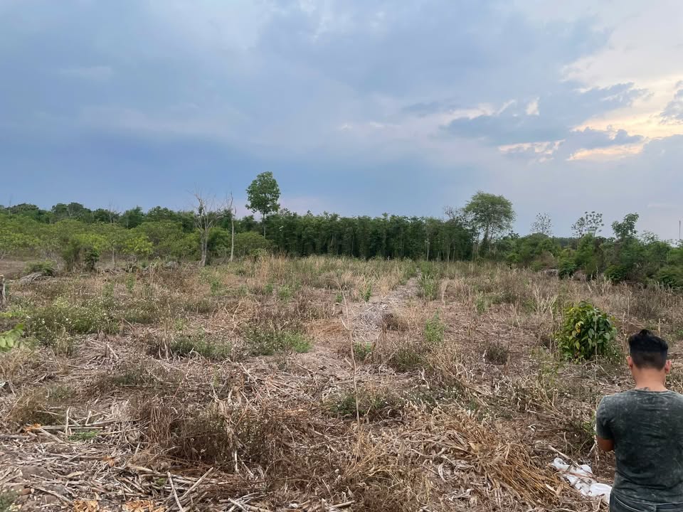 Đất nền Hòa Phú, Buôn Ma Thuột 7200m² giá 850 triệu - Đầu tư sinh lời ngay!