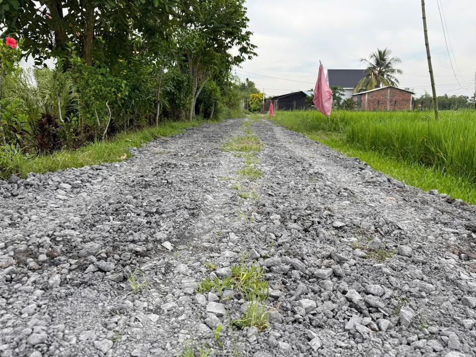 Đất thổ cư Đức Hòa Thượng 396m² giá 1.7 tỷ - Cơ hội đầu tư hấp dẫn!