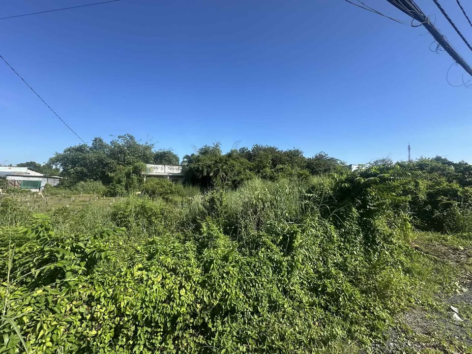 Đất nền Phú Hòa Đông Củ Chi 4641m² giá 10 tỷ - Cơ hội đầu tư tuyệt vời!