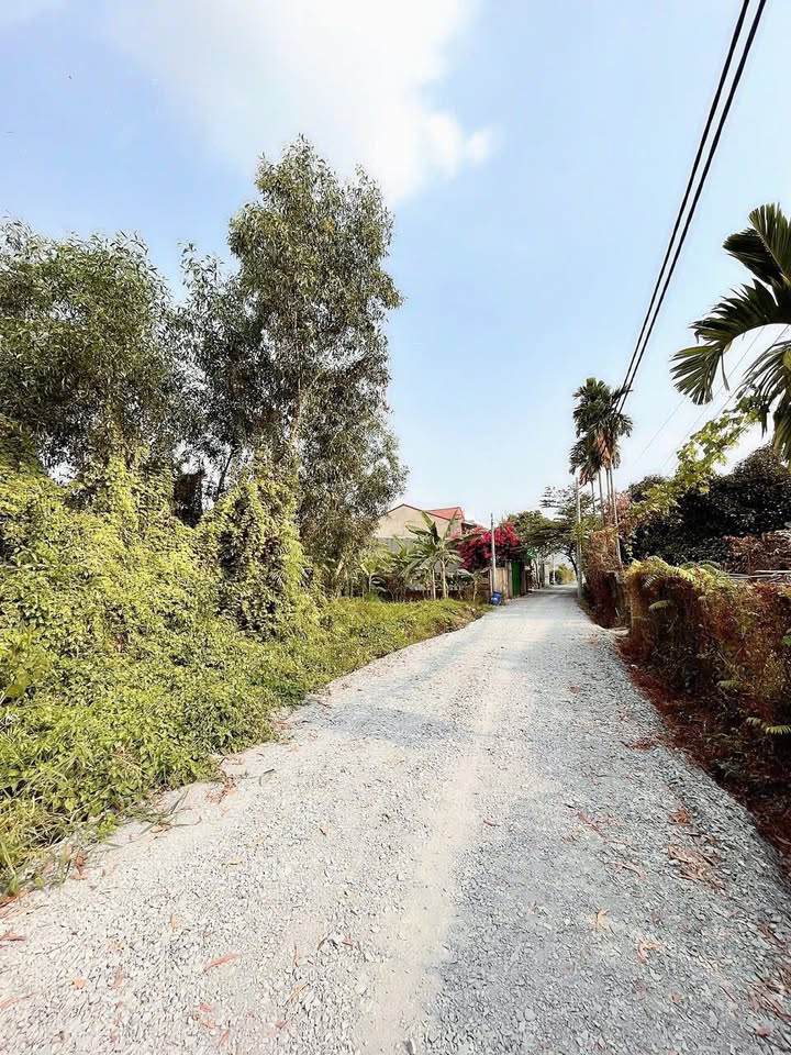 Đất nền Bình Mỹ, Củ Chi 1000m² giá 7 tỷ - Gần Tỉnh Lộ 8, đường ô tô vào tận nơi!