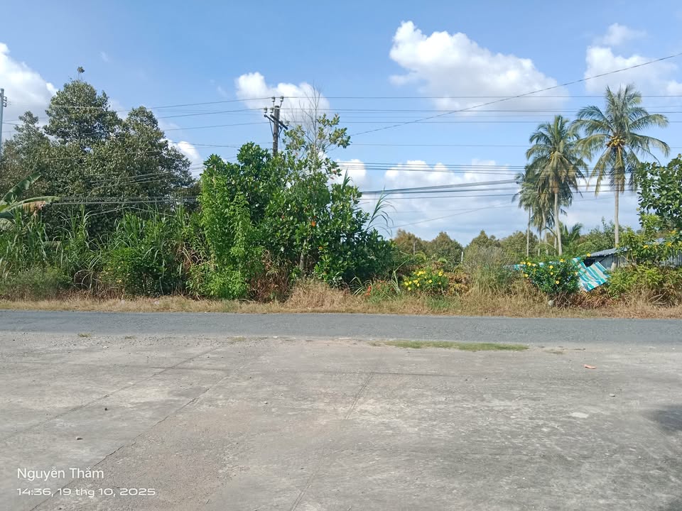 Đất nền Cái Nhum, Mang Thít, Vĩnh Long 2367m² - Mặt tiền đường rộng, giá tốt!
