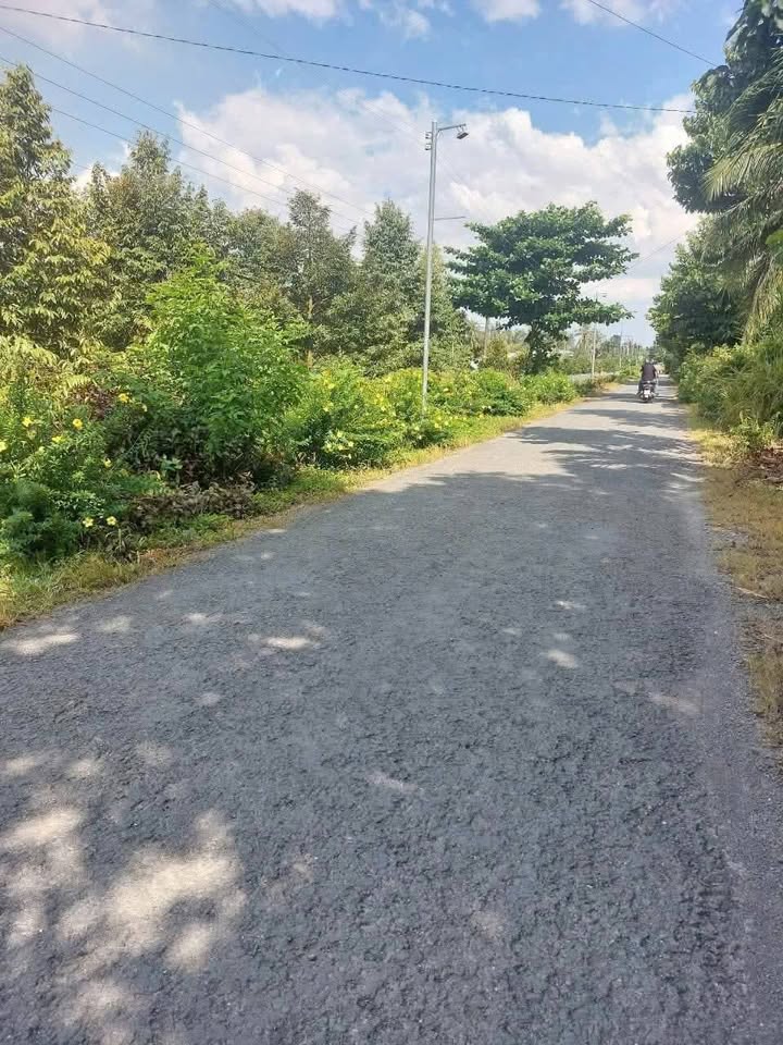 Đất vườn Chánh An, Mang Thít 5.741m² giá 1.8 tỷ - Đầu tư sinh lời với sầu riêng cho thuê!