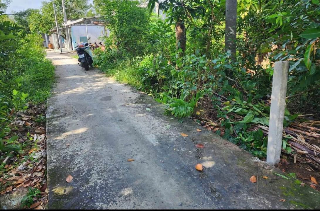 Đất nền biệt thự 347m² tại thị trấn Phong Điền - Giá chỉ 899 triệu!