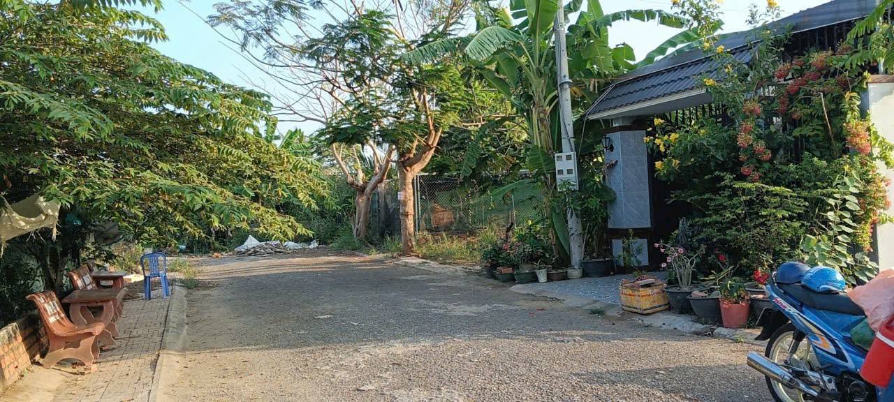 Đất nền Tân Hạnh, Long Hồ 100m² giá chỉ 900 triệu - Cơ hội đầu tư tuyệt vời!