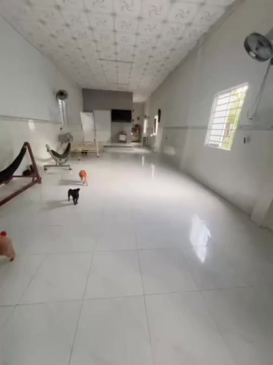 Đất nền xã Trà Ôn, Vĩnh Long 90m² - Gần chợ và trường học