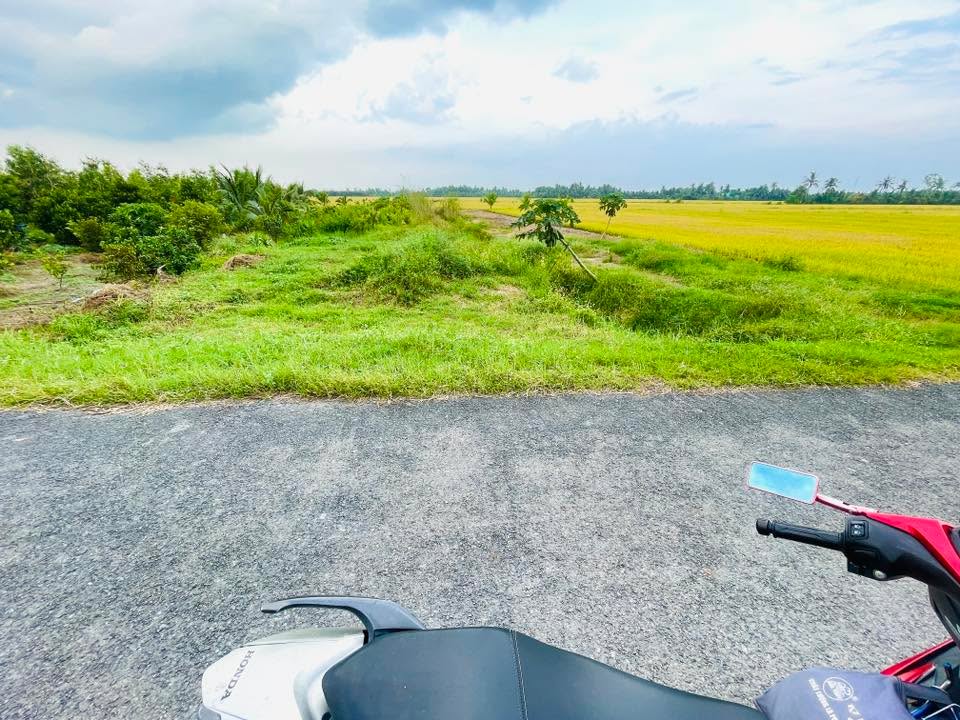 Đất vườn Cái Ngang 1800m² giá 1.2 tỷ - Đầu tư sinh lời ngay!