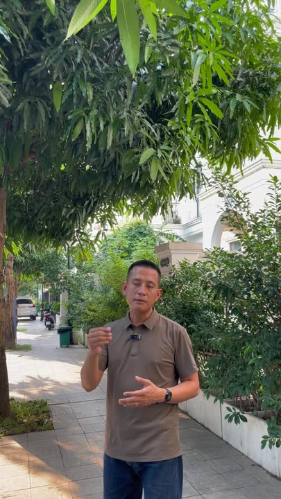 Biệt thự Townhouse Song Lập Hải Âu 03, Gia Lâm 150m² giá 26 tỷ - Cơ hội đầu tư tuyệt vời!