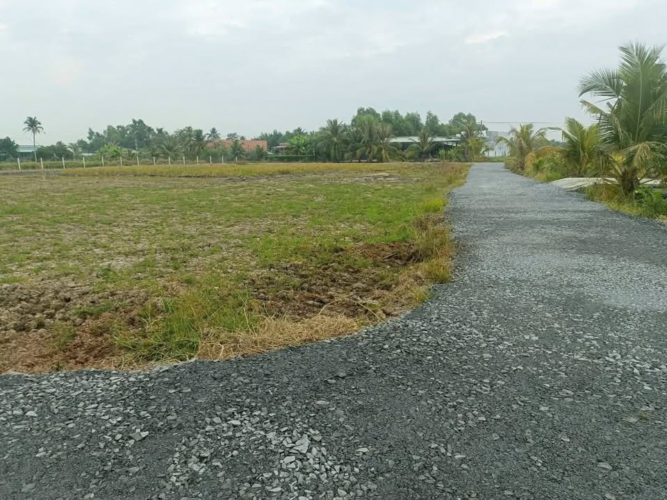 Đất thổ cư 168m² tại xã Phước Vân - Giá chỉ 7 tỷ, chính chủ bán gấp!